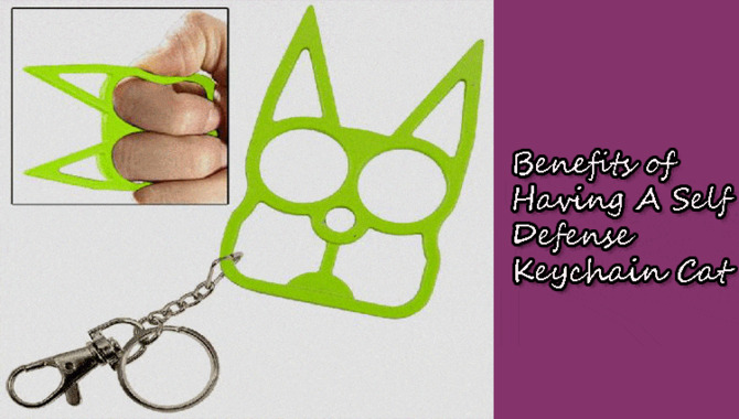 Benefits Of Having a Self Defense Keychain Cat And Types of With Features