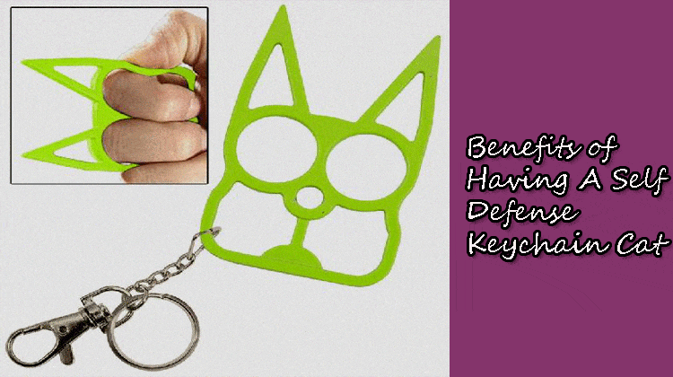 Benefits-of-Having-A-Self-Defense-Keychain-Cat