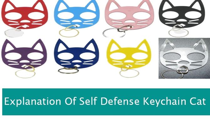 Explanation Of Self Defense Keychain Cat
