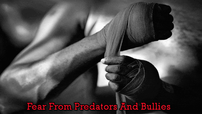 Fear From Predators And Bullies