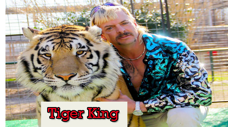 Tiger-King