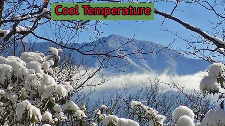 Cool-Temperature