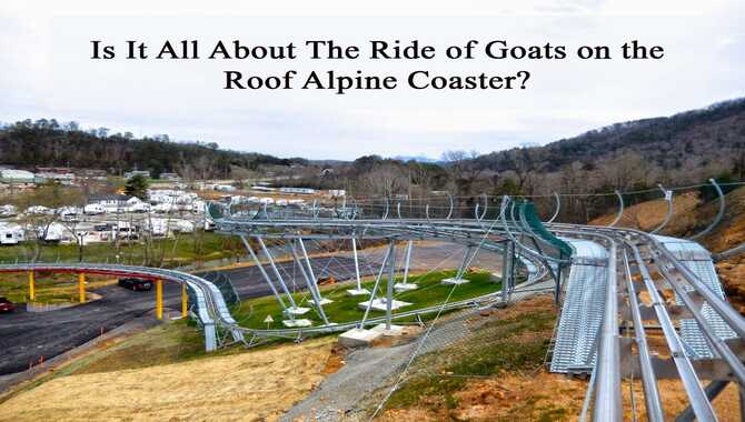 Is It All About The Ride Of Goats On The Roof Alpine Coaster