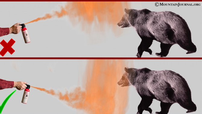 How a bear spray works