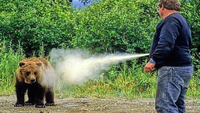 How to Use Bear Spray