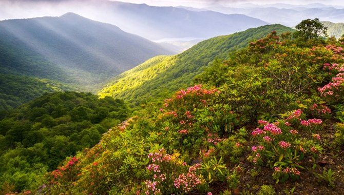 Spend Your Spring Break in the Smoky Mountains