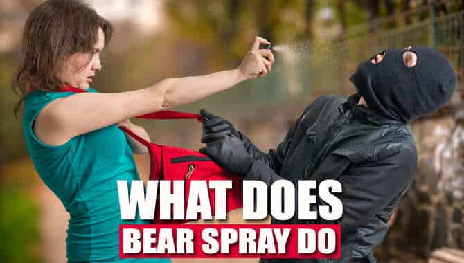 What Does Bear Spray Do