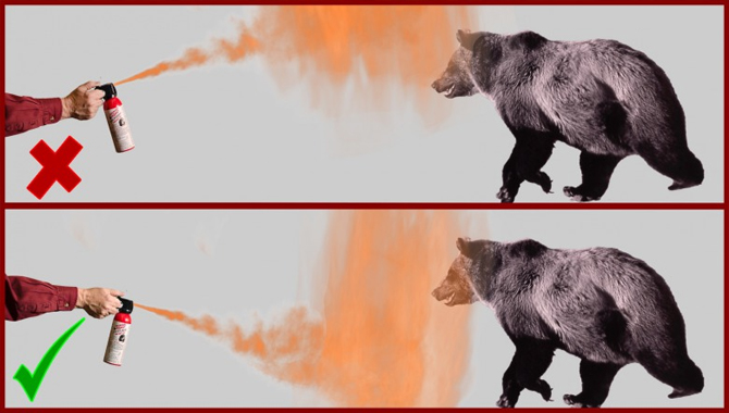 What Effect Does Bear Spray Have on Bears