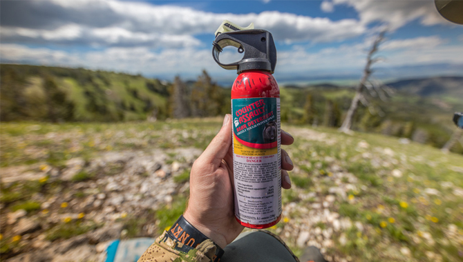 What is Bear Spray?