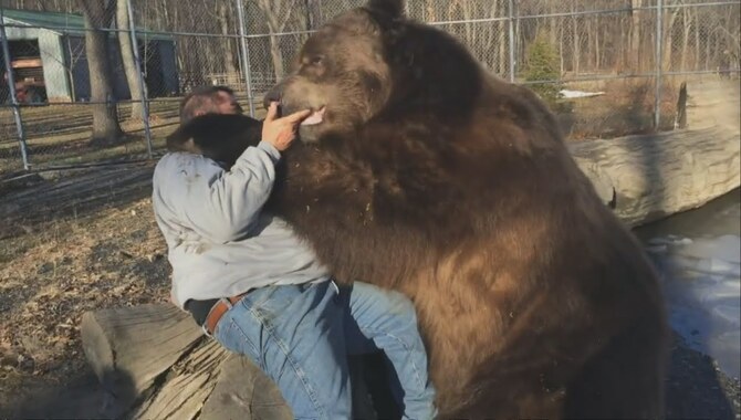 What Is A Bear Hug