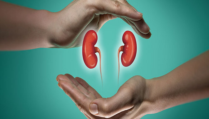 How Are Kidney Safety Precautions Important?
