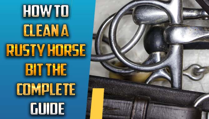 How To Clean A Rusty Horse Bit